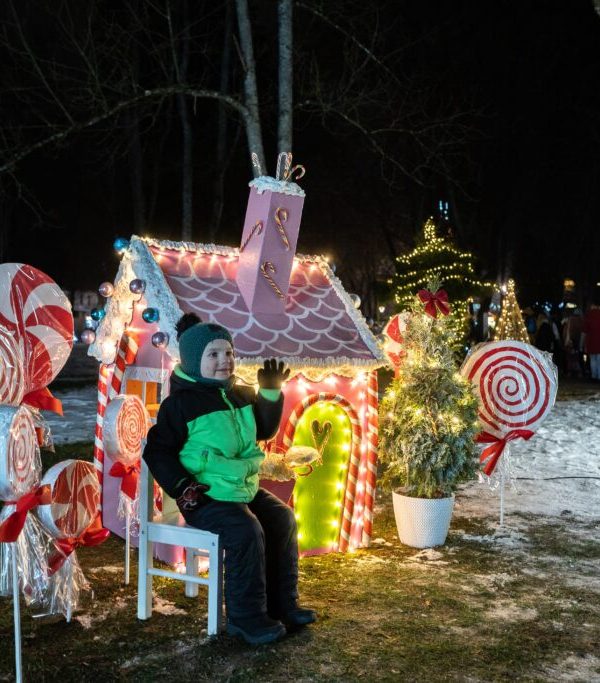 Kalediniu egluciu parkas