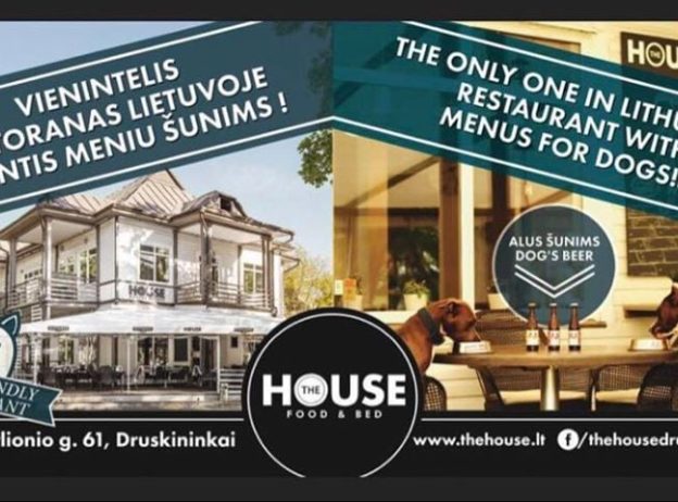 117231896 10160091777014465 5476480325899524595 n