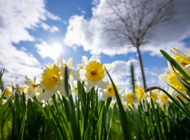 176807619 1654831294713027 3009599764659720965 n