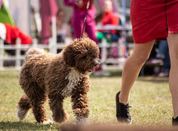 68399143 2520018908048882 1945527916305580032 o