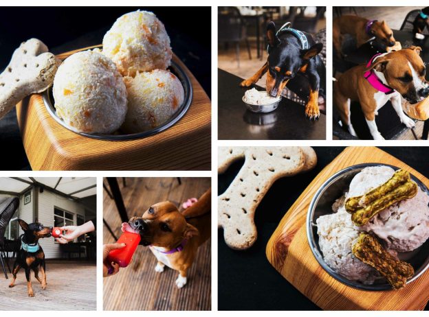 Ledai sunims 1 scaled 1