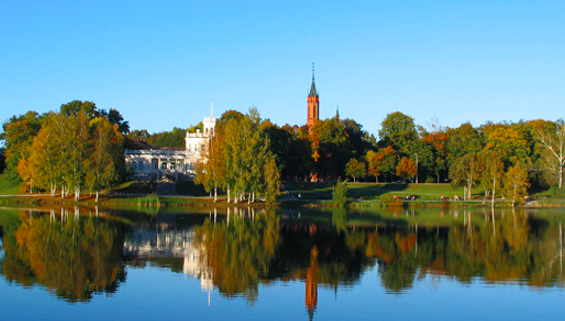 Screen Shot 2019 03 06 at 4.42.55 PM