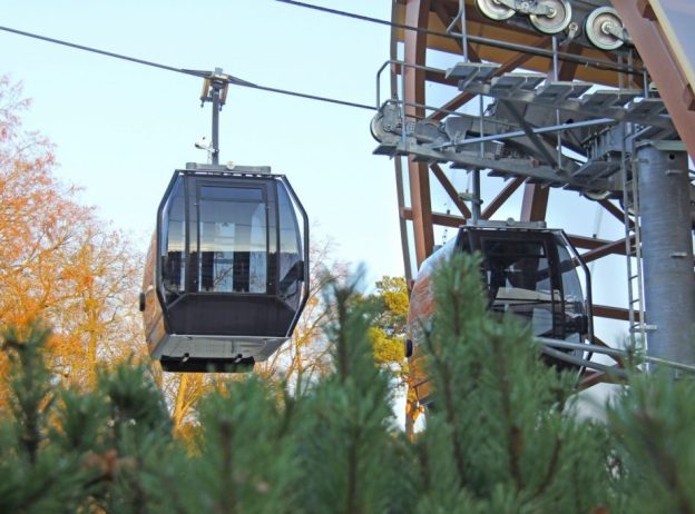 lynu kelias 1024x683 1