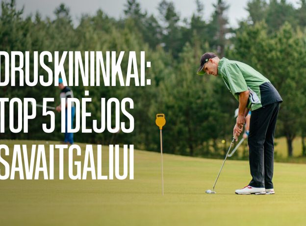 top5idejos druskininkai