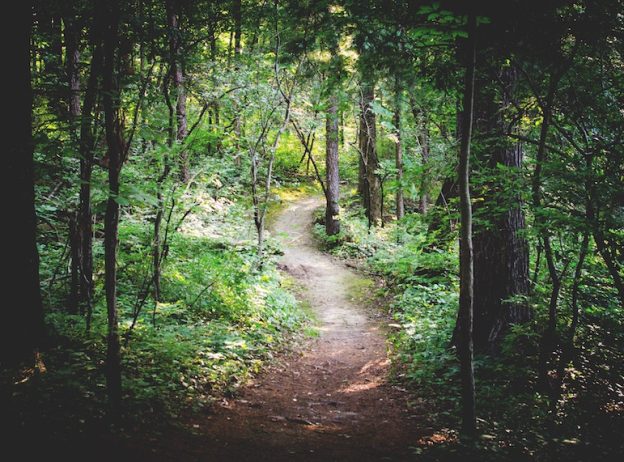 zack silver 49053 unsplash