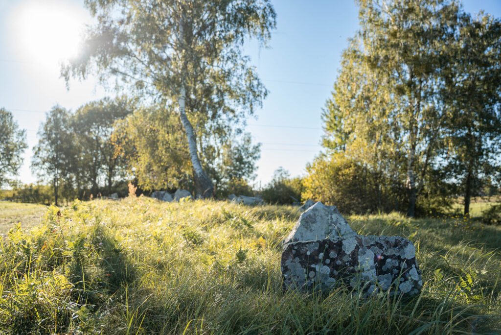 Leipalingio žydų kapinės