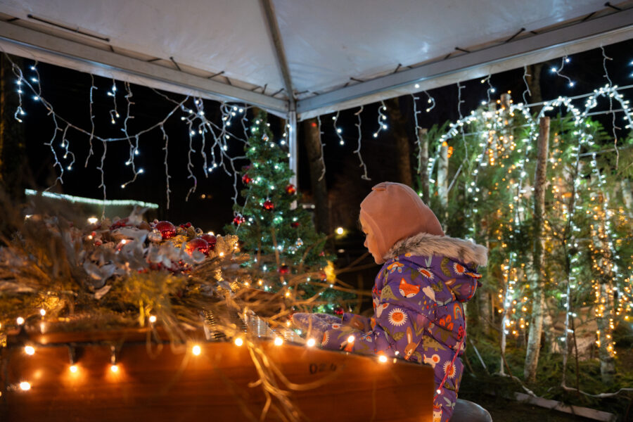 DSC06293 Enhanced NR