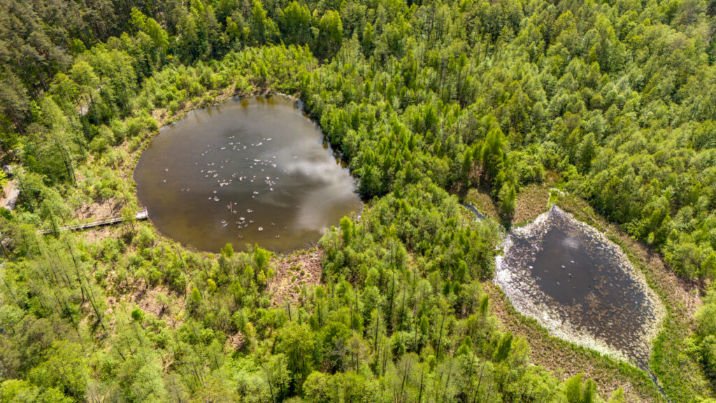 mergelės akys druskininkai