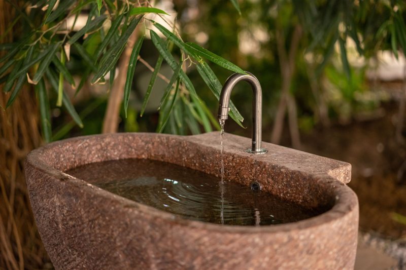 Egle 62 1872 x 1248 800x533